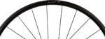 dt swiss prc 1100 dicut mon chasseral 24 28" carbon vorderrad top deal